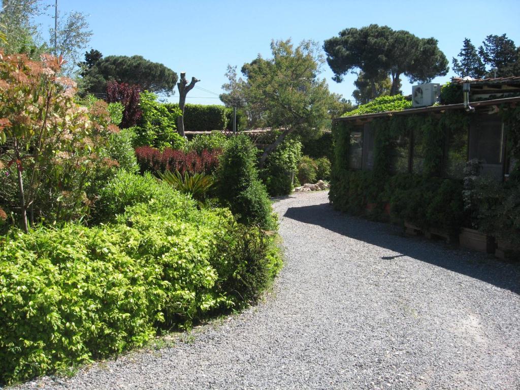 Country Apartments Castel di Decima Exteriör bild
